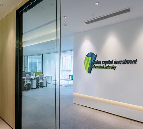 فاليو كابيتال للاستثمار والصناعات الكيميائية